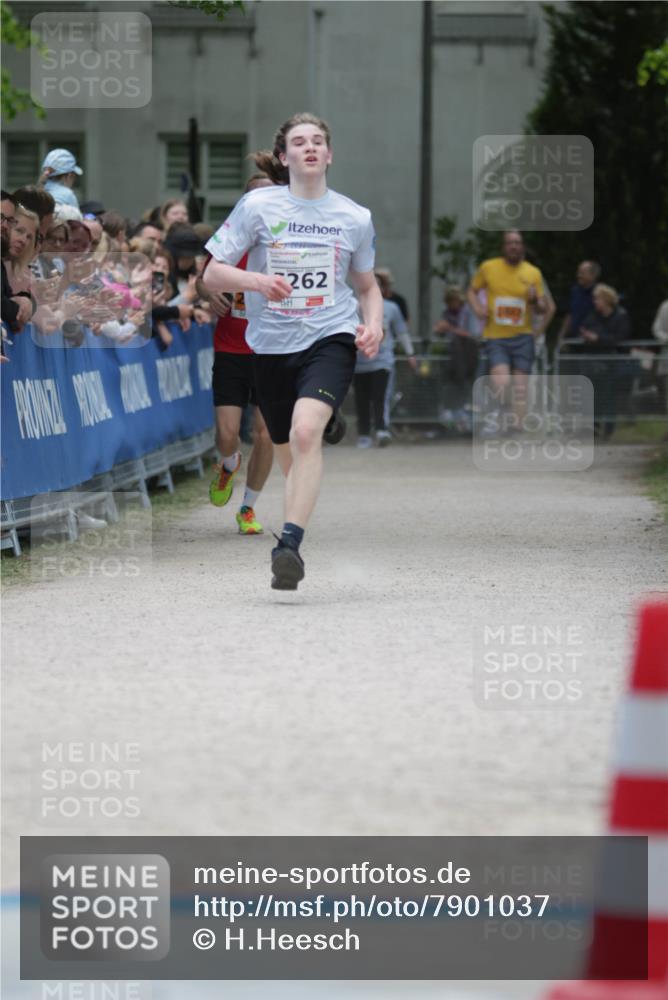 17.05.2025 - Störlauf H.Heesch http://msf.ph/oto/7901037 17.05.2025 15:24:38 Ziel 262 meine-sportfotos.de