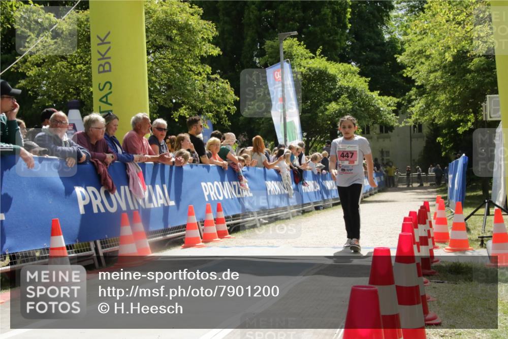 17.05.2025 - Störlauf H.Heesch http://msf.ph/oto/7901200 17.05.2025 14:04:29 Ziel 447 meine-sportfotos.de