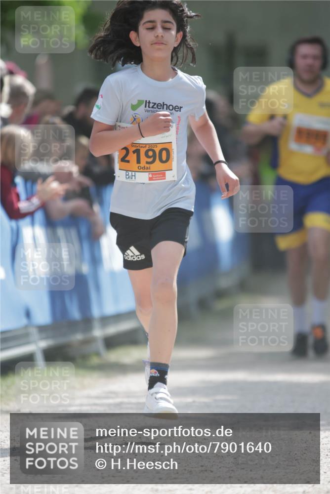 17.05.2025 - Störlauf H.Heesch http://msf.ph/oto/7901640 17.05.2025 15:26:53 Ziel 2025, 2190 meine-sportfotos.de