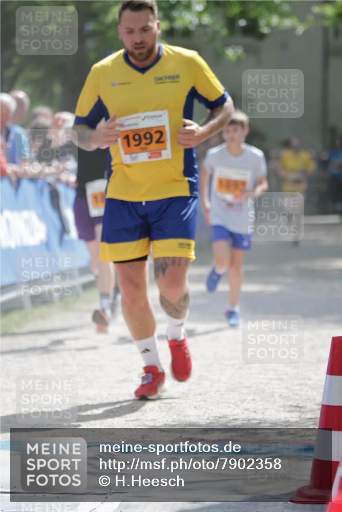 17.05.2025 - Störlauf H.Heesch http://msf.ph/oto/7902358 17.05.2025 15:29:18 Ziel 1992 meine-sportfotos.de