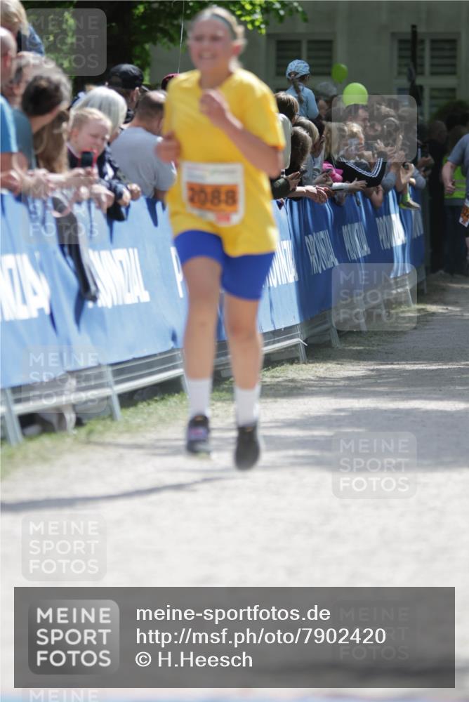 17.05.2025 - Störlauf H.Heesch http://msf.ph/oto/7902420 17.05.2025 15:29:41 Ziel 2088 meine-sportfotos.de