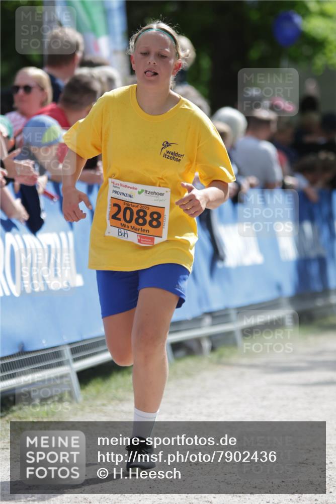 17.05.2025 - Störlauf H.Heesch http://msf.ph/oto/7902436 17.05.2025 15:29:42 Ziel 2025, 2088 meine-sportfotos.de