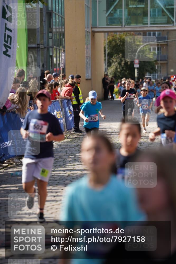 13.06.2025 - Holstenköstenlauf Felixshl http://msf.ph/oto/7927158 13.06.2025 16:51:59 Laufen 41, 48, 93, 399, 537, 798, 802, 814, 815, 1032, 1034, 1113, 1164, 1260, 1366, 1935 meine-sportfotos.de