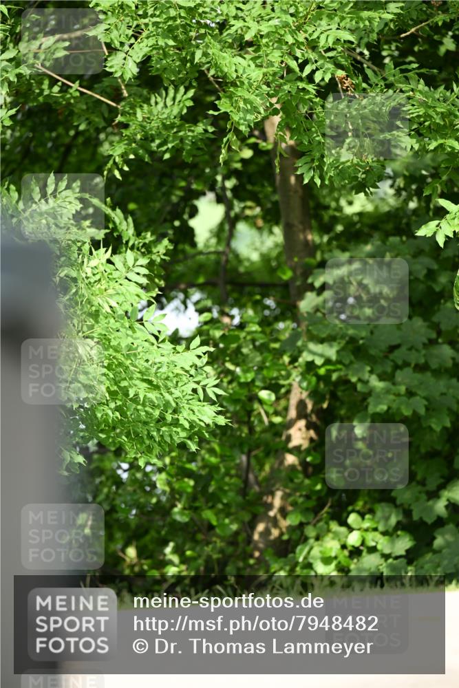 15.06.2025 - REWE Women's Run Dr. Thomas Lammeyer http://msf.ph/oto/7948482 15.06.2025 09:29:34 Laufen  meine-sportfotos.de