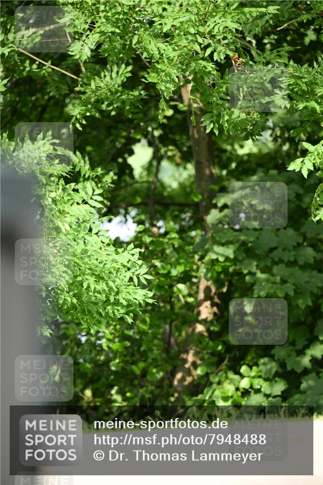 15.06.2025 - REWE Women's Run Dr. Thomas Lammeyer http://msf.ph/oto/7948488 15.06.2025 09:29:34 Laufen  meine-sportfotos.de