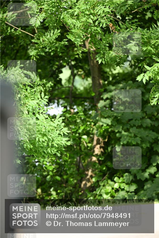 15.06.2025 - REWE Women's Run Dr. Thomas Lammeyer http://msf.ph/oto/7948491 15.06.2025 09:29:34 Laufen  meine-sportfotos.de