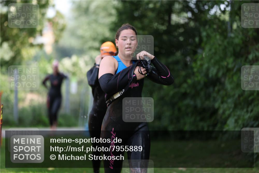15.06.2025 - 7 Türme Triathlon Michael Strokosch http://msf.ph/oto/7955889 15.06.2025 12:34:30 Schwimmen 359, 403, 482, 535, 547, 576 meine-sportfotos.de
