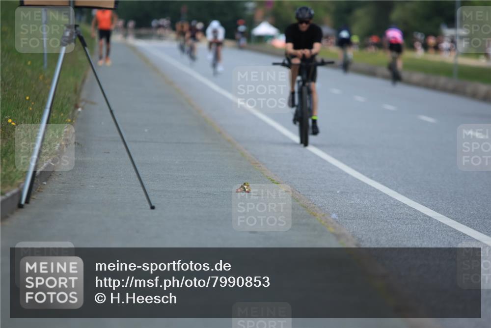 21.06.2025 - 27. Vierlanden-Triathlon H.Heesch http://msf.ph/oto/7990853 15.06.2025 11:53:43 Radfahren 893 meine-sportfotos.de