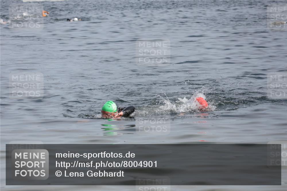 15.06.2025 - 27. Vierlanden-Triathlon Lena Gebhardt http://msf.ph/oto/8004901 15.06.2025 10:02:24 Schwimmen 317 meine-sportfotos.de