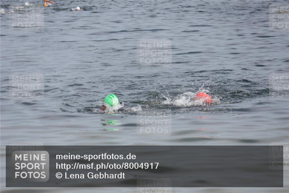 15.06.2025 - 27. Vierlanden-Triathlon Lena Gebhardt http://msf.ph/oto/8004917 15.06.2025 10:02:24 Schwimmen 317 meine-sportfotos.de