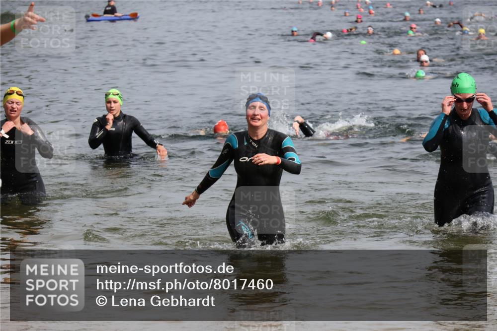 15.06.2025 - 27. Vierlanden-Triathlon Lena Gebhardt http://msf.ph/oto/8017460 15.06.2025 10:16:08 Schwimmen 445, 489, 547, 606, 611, 612 meine-sportfotos.de