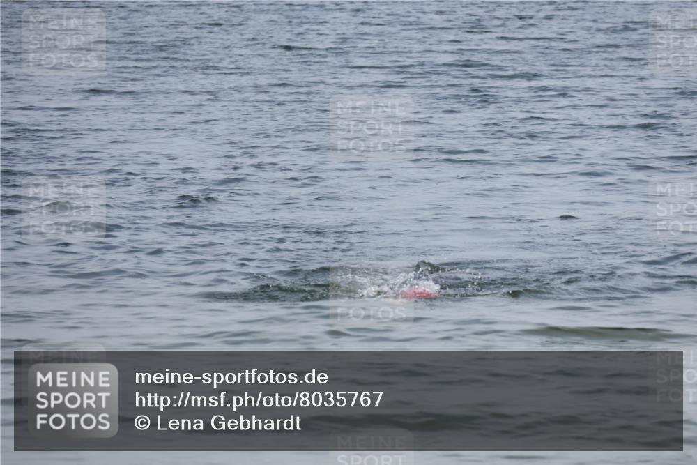 15.06.2025 - 27. Vierlanden-Triathlon Lena Gebhardt http://msf.ph/oto/8035767 15.06.2025 11:24:31 Schwimmen  meine-sportfotos.de