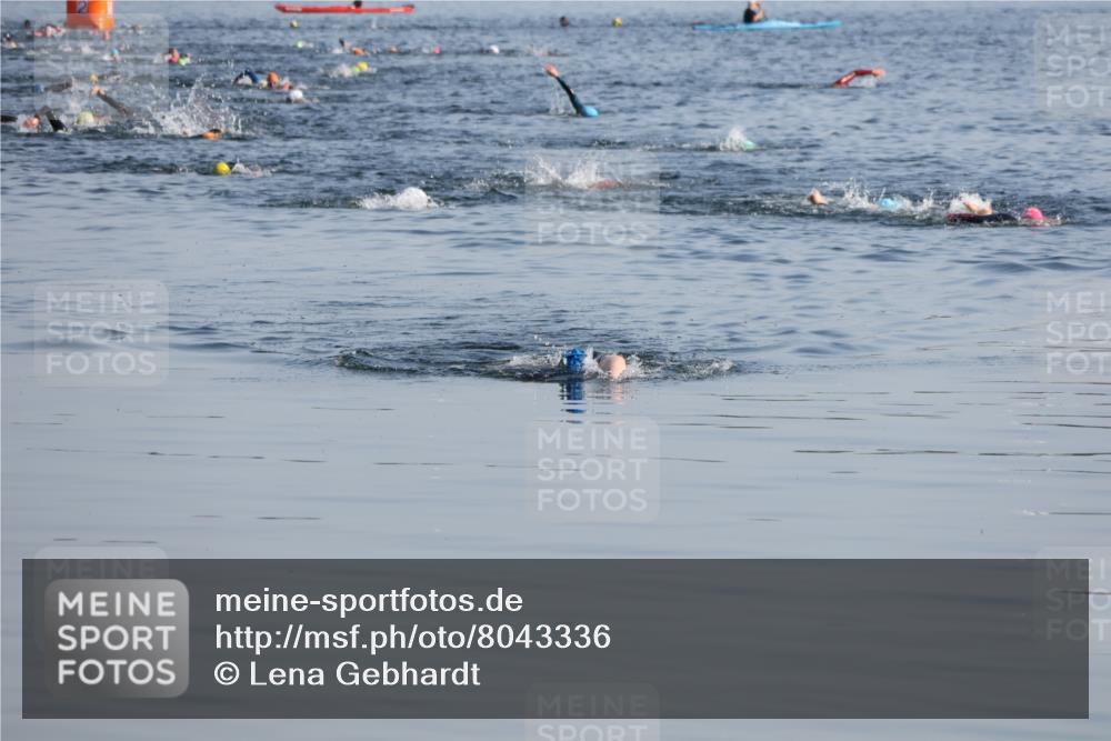 15.06.2025 - 27. Vierlanden-Triathlon Lena Gebhardt http://msf.ph/oto/8043336 15.06.2025 08:31:34 Schwimmen 63 meine-sportfotos.de