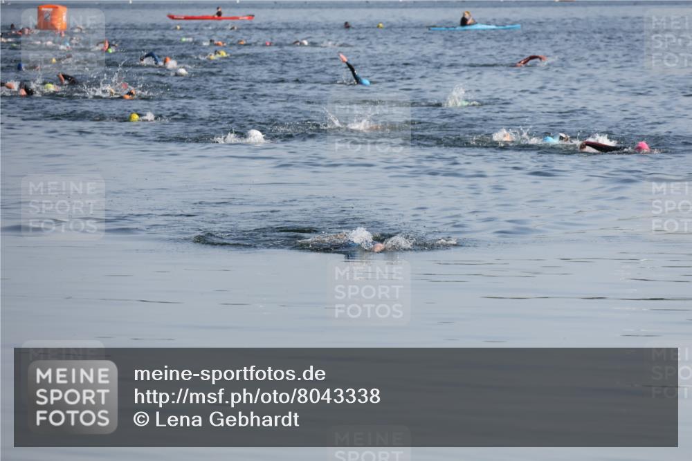 15.06.2025 - 27. Vierlanden-Triathlon Lena Gebhardt http://msf.ph/oto/8043338 15.06.2025 08:31:34 Schwimmen 63 meine-sportfotos.de