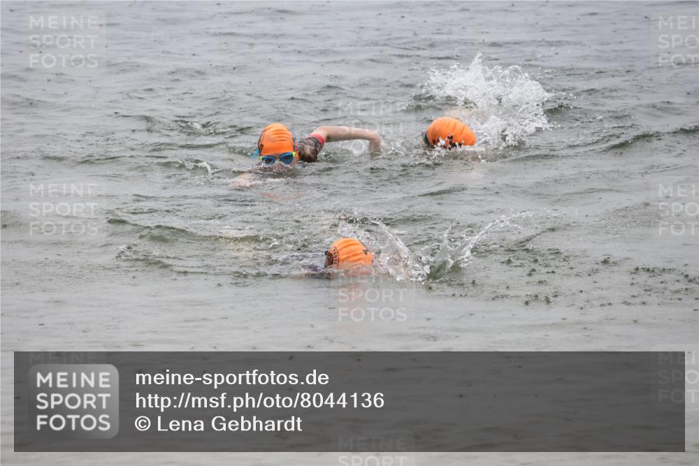 21.06.2025 - 27. Vierlanden-Triathlon Lena Gebhardt http://msf.ph/oto/8044136 15.06.2025 14:39:03 Schwimmen 1335, 1340, 1345, 1349 meine-sportfotos.de