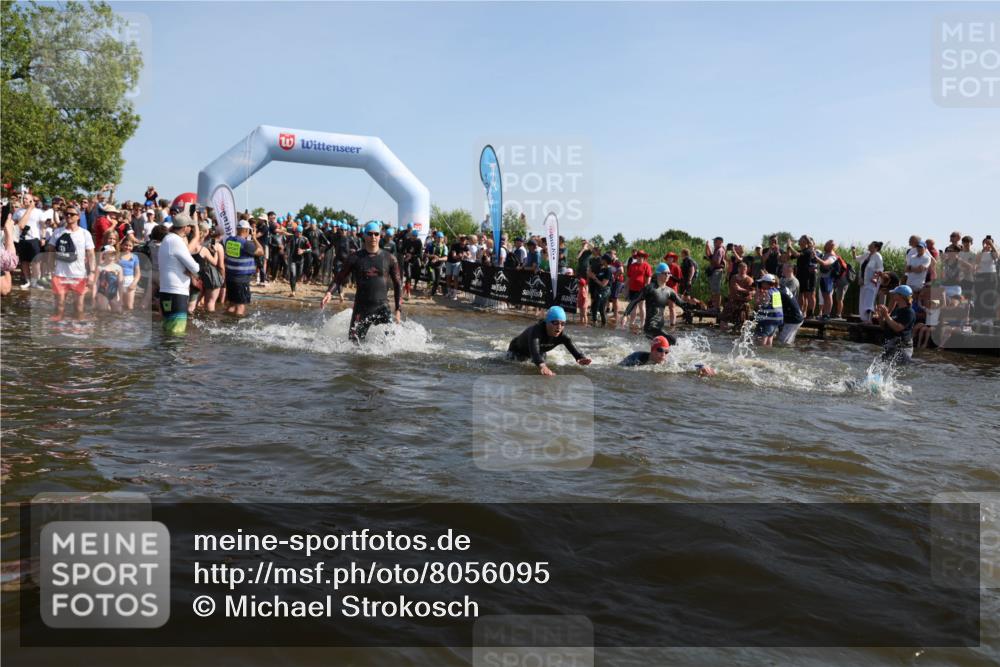 22.06.2025 - Viking Triathlon Michael Strokosch http://msf.ph/oto/8056095 22.06.2025 10:01:42 Schwimmen 19, 33, 170, 272, 310, 320, 344, 399, 438, 461, 496, 507, 555, 604, 626 meine-sportfotos.de