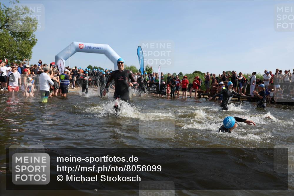 22.06.2025 - Viking Triathlon Michael Strokosch http://msf.ph/oto/8056099 22.06.2025 10:01:43 Schwimmen 19, 33, 170, 272, 310, 320, 344, 399, 438, 461, 496, 507, 555, 604, 626 meine-sportfotos.de