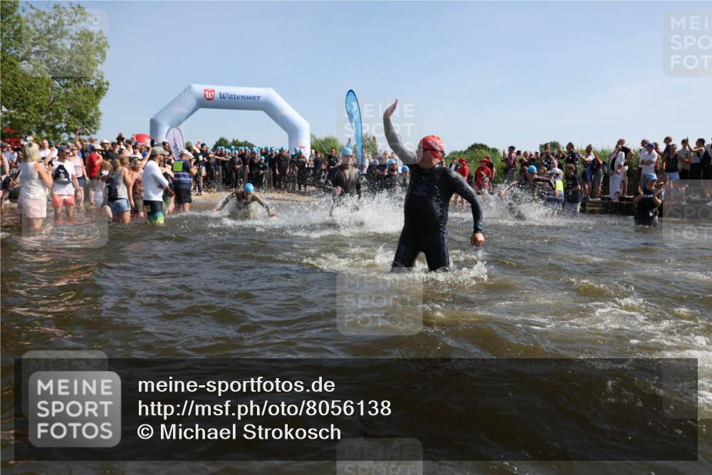 22.06.2025 - Viking Triathlon Michael Strokosch http://msf.ph/oto/8056138 22.06.2025 10:01:55 Schwimmen 3, 17, 80, 91, 125, 158, 271, 278, 299, 304, 355, 435, 449, 551, 618 meine-sportfotos.de