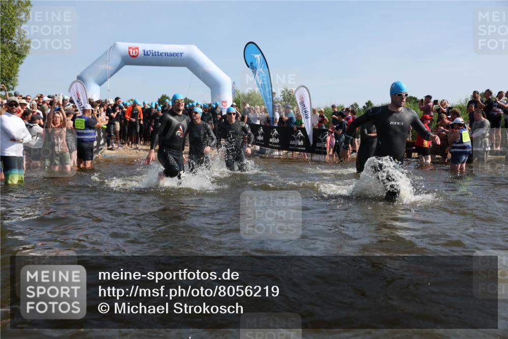 22.06.2025 - Viking Triathlon Michael Strokosch http://msf.ph/oto/8056219 22.06.2025 10:02:22 Schwimmen 21, 75, 78, 103, 139, 180, 207, 255, 265, 283, 309, 331, 382, 464, 469 meine-sportfotos.de