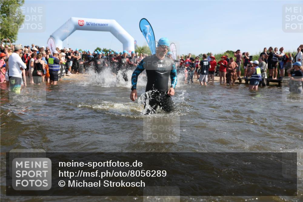 22.06.2025 - Viking Triathlon Michael Strokosch http://msf.ph/oto/8056289 22.06.2025 10:02:39 Schwimmen 114, 161, 193, 264, 297, 323, 366, 427, 429, 513, 546, 552 meine-sportfotos.de