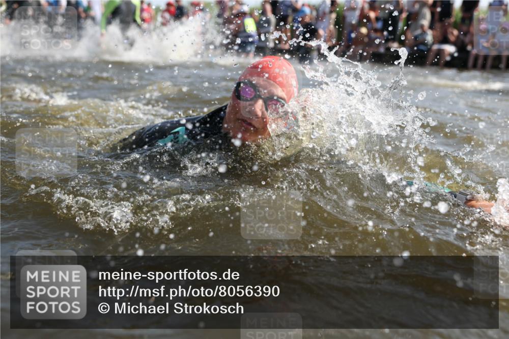 22.06.2025 - Viking Triathlon Michael Strokosch http://msf.ph/oto/8056390 22.06.2025 10:03:10 Schwimmen 20, 134, 177, 187, 204, 208, 334, 348, 349, 478, 505, 524, 602, 636, 660 meine-sportfotos.de