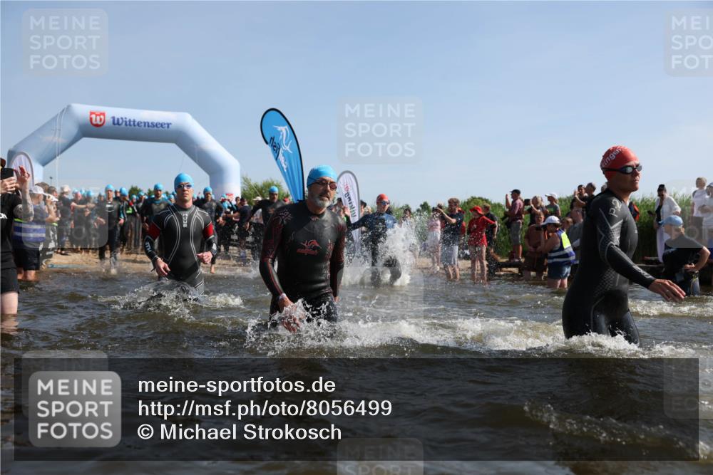 22.06.2025 - Viking Triathlon Michael Strokosch http://msf.ph/oto/8056499 22.06.2025 10:03:43 Schwimmen 58, 62, 79, 108, 148, 157, 179, 296, 434, 456, 619, 635, 645, 648, 659 meine-sportfotos.de