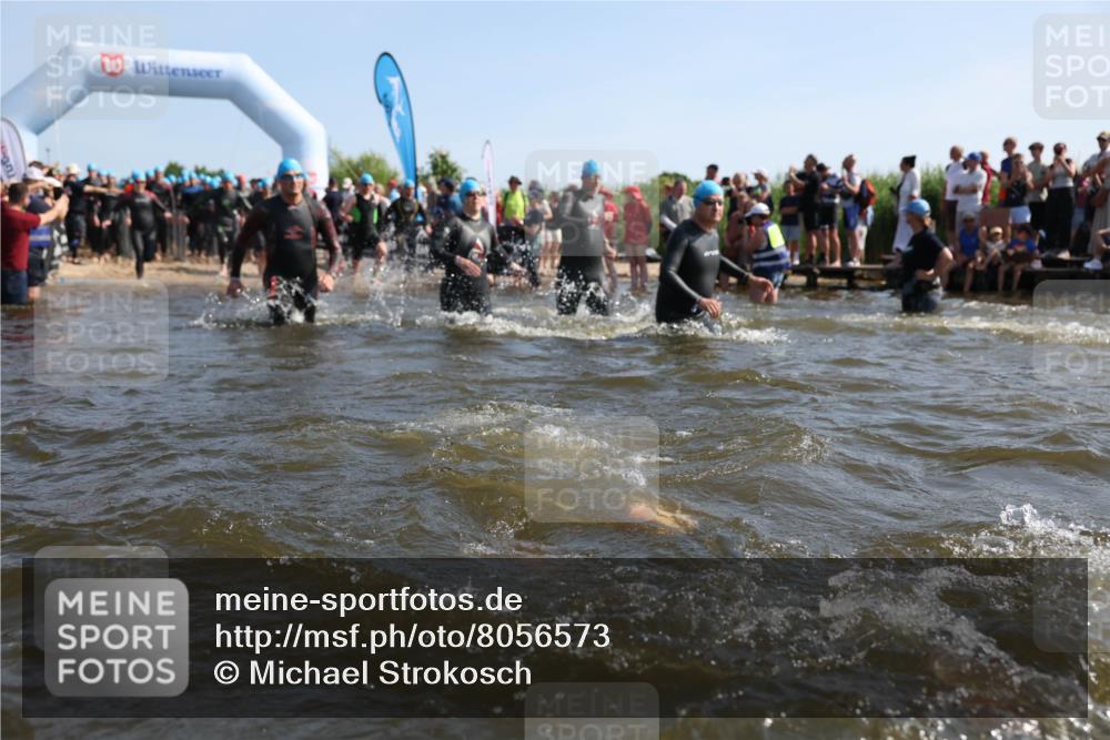 22.06.2025 - Viking Triathlon Michael Strokosch http://msf.ph/oto/8056573 22.06.2025 10:04:19 Schwimmen 115, 141, 142, 156, 185, 195, 199, 239, 253, 276, 351, 377, 408, 474, 493, 529 meine-sportfotos.de