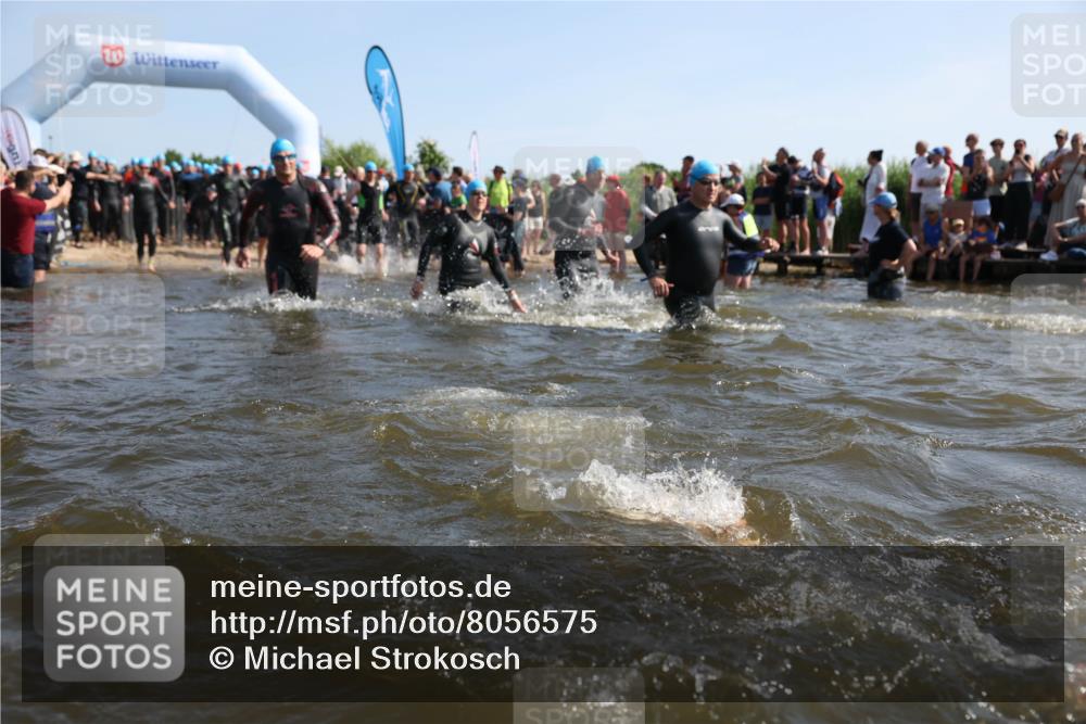 22.06.2025 - Viking Triathlon Michael Strokosch http://msf.ph/oto/8056575 22.06.2025 10:04:19 Schwimmen 115, 141, 142, 156, 185, 195, 199, 239, 253, 276, 351, 377, 408, 474, 493, 529 meine-sportfotos.de