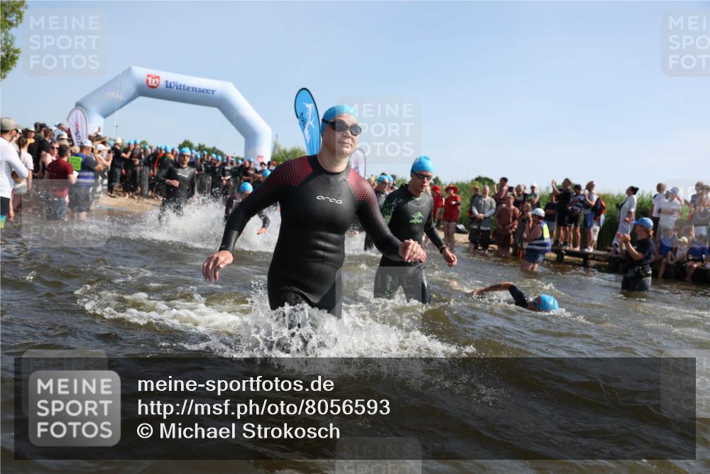 22.06.2025 - Viking Triathlon Michael Strokosch http://msf.ph/oto/8056593 22.06.2025 10:04:25 Schwimmen 115, 146, 195, 209, 239, 253, 335, 375, 377, 408, 419, 447, 457, 506, 629 meine-sportfotos.de
