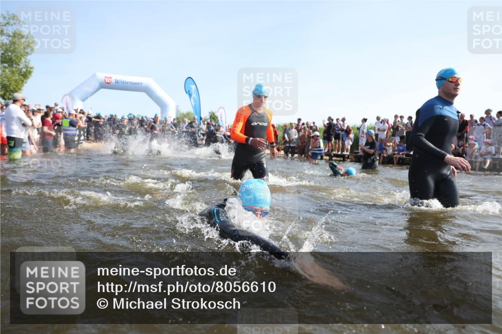 22.06.2025 - Viking Triathlon Michael Strokosch http://msf.ph/oto/8056610 22.06.2025 10:04:39 Schwimmen 55, 85, 86, 238, 245, 281, 312, 316, 327, 428, 482, 506, 514, 515, 550, 629, 662 meine-sportfotos.de