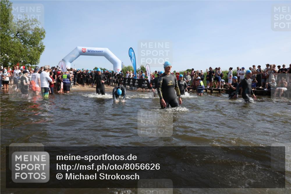 22.06.2025 - Viking Triathlon Michael Strokosch http://msf.ph/oto/8056626 22.06.2025 10:04:46 Schwimmen 29, 55, 70, 72, 85, 86, 245, 248, 281, 312, 316, 411, 428, 515, 550 meine-sportfotos.de