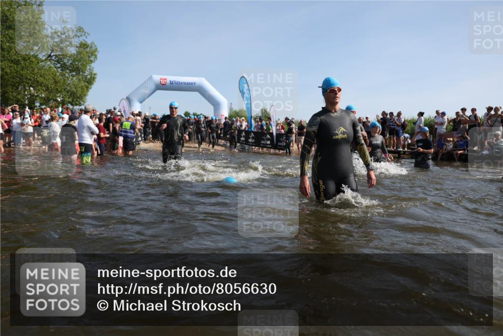 22.06.2025 - Viking Triathlon Michael Strokosch http://msf.ph/oto/8056630 22.06.2025 10:04:47 Schwimmen 29, 55, 70, 72, 85, 86, 245, 248, 281, 312, 316, 411, 428, 515, 550 meine-sportfotos.de