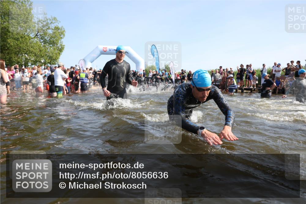 22.06.2025 - Viking Triathlon Michael Strokosch http://msf.ph/oto/8056636 22.06.2025 10:04:49 Schwimmen 29, 70, 72, 86, 245, 248, 281, 295, 312, 316, 411, 509, 515 meine-sportfotos.de