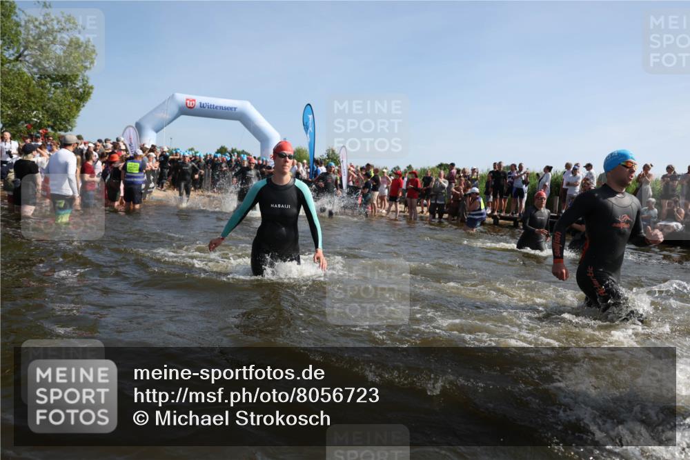 22.06.2025 - Viking Triathlon Michael Strokosch http://msf.ph/oto/8056723 22.06.2025 10:05:29 Schwimmen 22, 61, 150, 167, 181, 210, 228, 314, 437, 439, 462, 538, 601, 603, 654, 655 meine-sportfotos.de