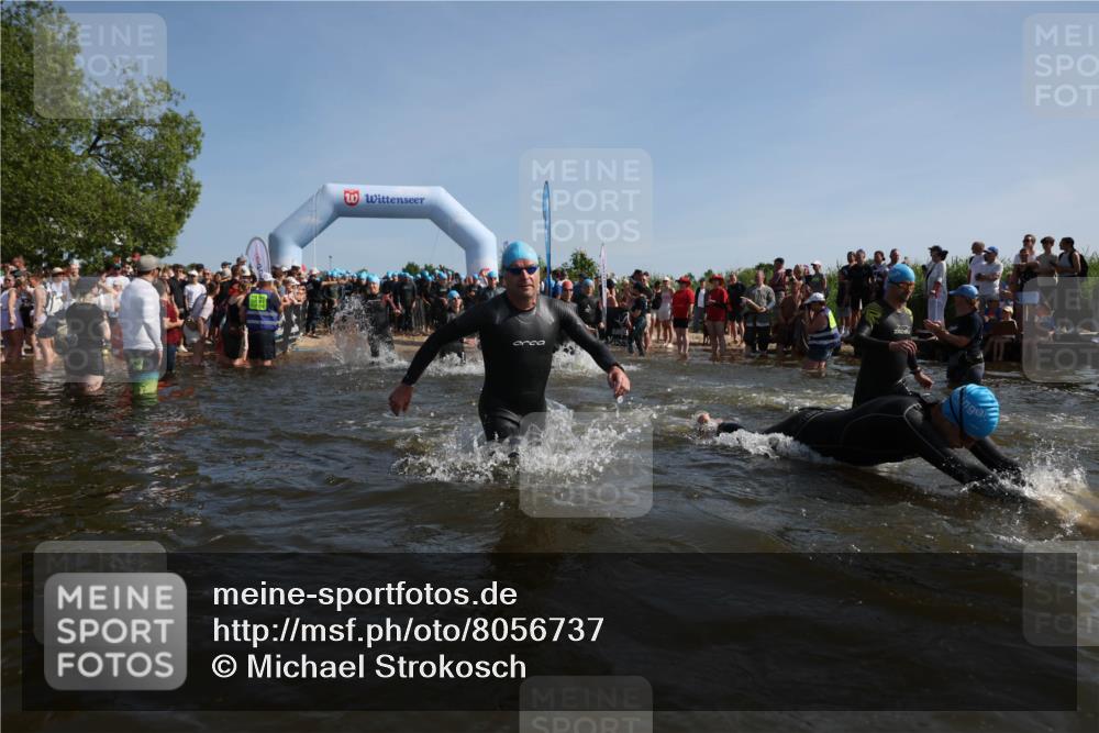 22.06.2025 - Viking Triathlon Michael Strokosch http://msf.ph/oto/8056737 22.06.2025 10:05:34 Schwimmen 22, 65, 83, 150, 167, 181, 210, 228, 361, 439, 462, 511, 538, 553, 601, 603, 654 meine-sportfotos.de