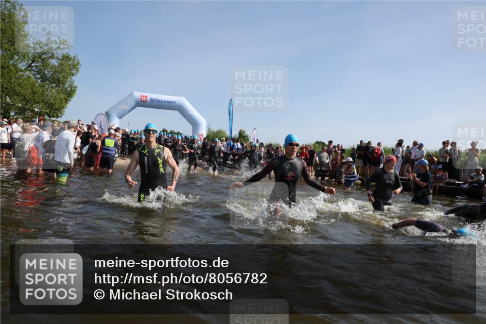 22.06.2025 - Viking Triathlon Michael Strokosch http://msf.ph/oto/8056782 22.06.2025 10:05:54 Schwimmen 68, 128, 211, 275, 397, 441, 442, 465, 530, 633 meine-sportfotos.de