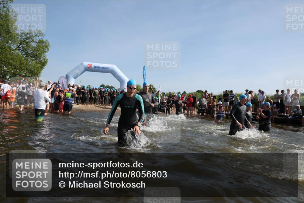 22.06.2025 - Viking Triathlon Michael Strokosch http://msf.ph/oto/8056803 22.06.2025 10:06:06 Schwimmen 39, 41, 144, 169, 249, 266, 269, 325, 390, 446, 460, 489, 508, 644 meine-sportfotos.de