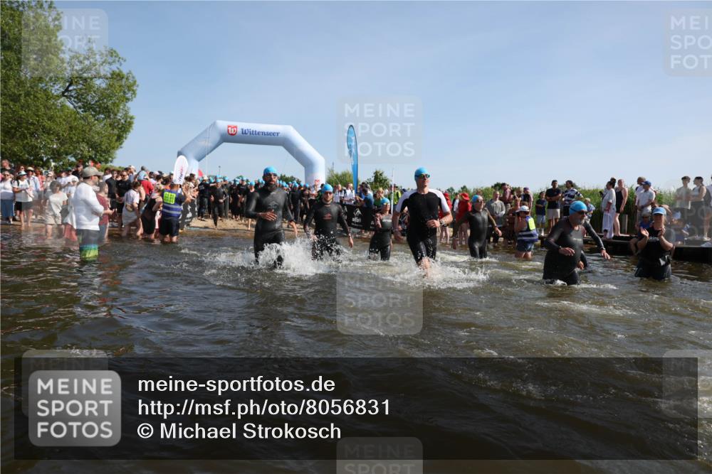22.06.2025 - Viking Triathlon Michael Strokosch http://msf.ph/oto/8056831 22.06.2025 10:06:17 Schwimmen 39, 41, 60, 84, 110, 117, 153, 191, 266, 325, 385, 440, 446, 487, 535 meine-sportfotos.de