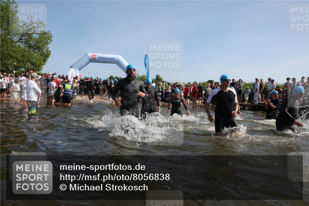 22.06.2025 - Viking Triathlon Michael Strokosch http://msf.ph/oto/8056838 22.06.2025 10:06:18 Schwimmen 39, 41, 60, 84, 110, 117, 153, 191, 266, 325, 385, 440, 446, 487, 535 meine-sportfotos.de