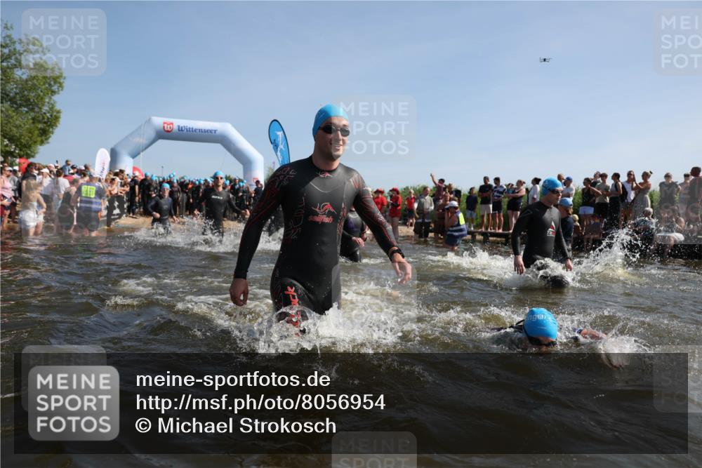 22.06.2025 - Viking Triathlon Michael Strokosch http://msf.ph/oto/8056954 22.06.2025 10:06:50 Schwimmen 66, 165, 183, 217, 257, 282, 290, 318, 321, 337, 468, 479, 501, 525, 533 meine-sportfotos.de