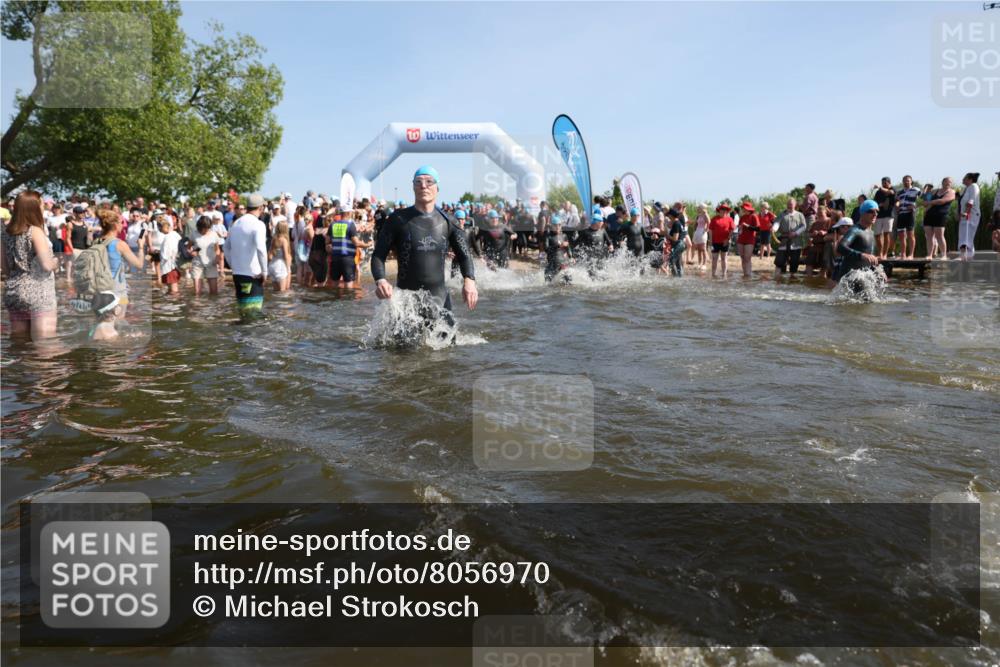 22.06.2025 - Viking Triathlon Michael Strokosch http://msf.ph/oto/8056970 22.06.2025 10:06:55 Schwimmen 66, 183, 244, 290, 318, 321, 337, 369, 467, 468, 479, 494, 498, 525, 533 meine-sportfotos.de