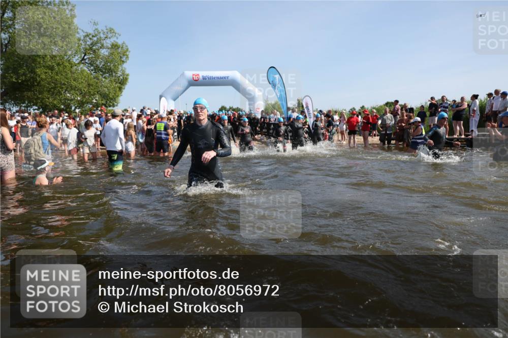 22.06.2025 - Viking Triathlon Michael Strokosch http://msf.ph/oto/8056972 22.06.2025 10:06:55 Schwimmen 66, 183, 244, 290, 318, 321, 337, 369, 467, 468, 479, 494, 498, 525, 533 meine-sportfotos.de