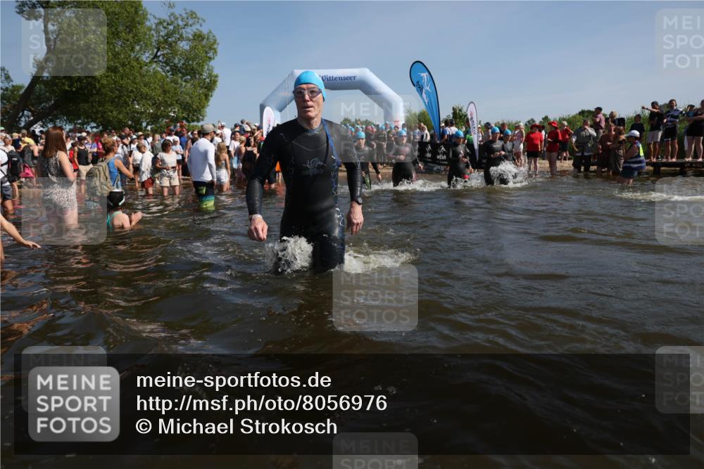 22.06.2025 - Viking Triathlon Michael Strokosch http://msf.ph/oto/8056976 22.06.2025 10:06:56 Schwimmen 66, 183, 244, 290, 318, 321, 337, 369, 467, 468, 479, 494, 498, 525, 533 meine-sportfotos.de