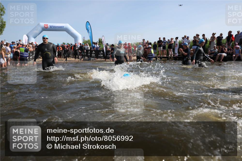 22.06.2025 - Viking Triathlon Michael Strokosch http://msf.ph/oto/8056992 22.06.2025 10:07:02 Schwimmen 64, 183, 244, 321, 328, 369, 431, 467, 468, 479, 494, 498, 533, 631, 649 meine-sportfotos.de