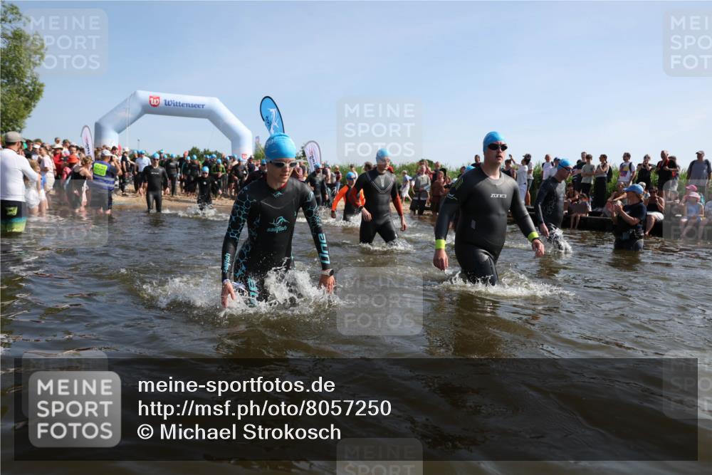 22.06.2025 - Viking Triathlon Michael Strokosch http://msf.ph/oto/8057250 22.06.2025 10:08:31 Schwimmen 48, 69, 71, 97, 166, 246, 319, 357, 360, 472, 481, 490, 499, 518, 542 meine-sportfotos.de