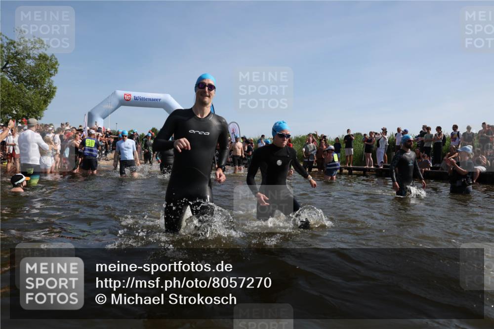 22.06.2025 - Viking Triathlon Michael Strokosch http://msf.ph/oto/8057270 22.06.2025 10:08:39 Schwimmen 71, 136, 166, 234, 241, 246, 303, 305, 319, 356, 357, 360, 459, 470, 471, 472, 481, 490, 542, 656 meine-sportfotos.de