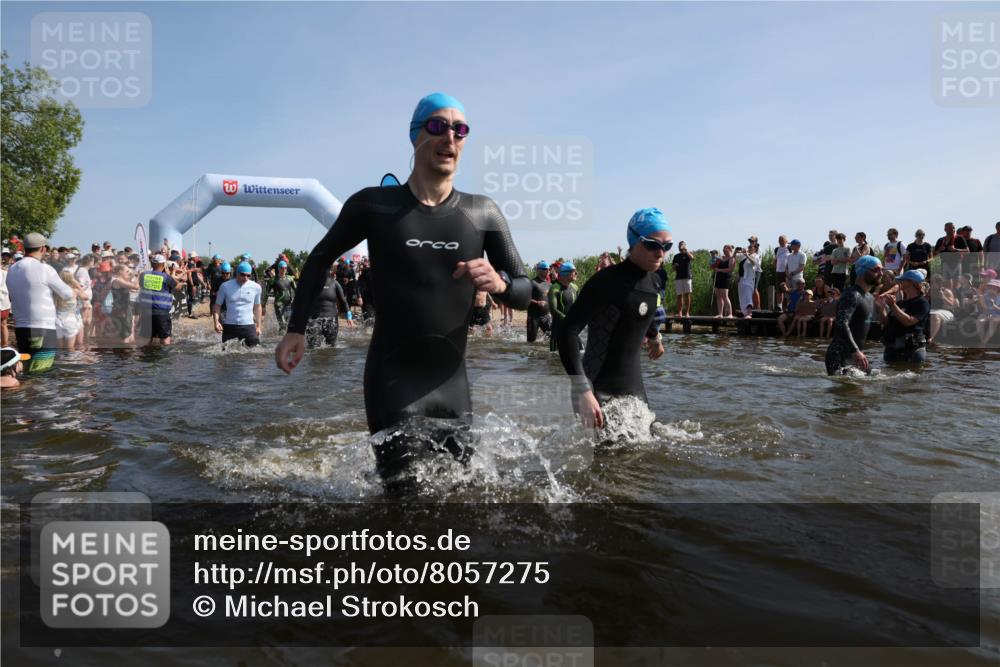 22.06.2025 - Viking Triathlon Michael Strokosch http://msf.ph/oto/8057275 22.06.2025 10:08:39 Schwimmen 71, 136, 166, 234, 241, 246, 303, 305, 319, 356, 357, 360, 459, 470, 471, 472, 481, 490, 542, 656 meine-sportfotos.de