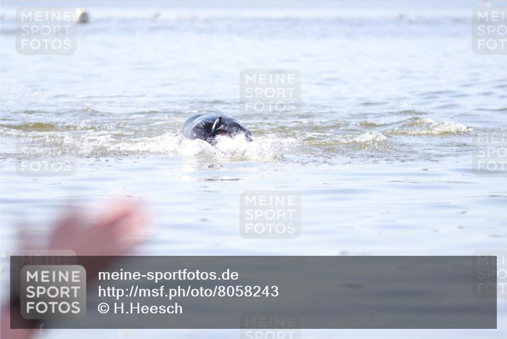 22.06.2025 - Viking Triathlon H.Heesch http://msf.ph/oto/8058243 22.06.2025 10:24:05 Schwimmen 609 meine-sportfotos.de