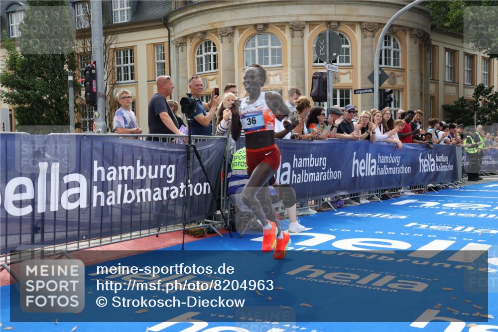 29.06.2025 - hella hamburg halbmarathon Strokosch-Dieckow http://msf.ph/oto/8204963 29.06.2025 10:11:58 Ziel 36 meine-sportfotos.de