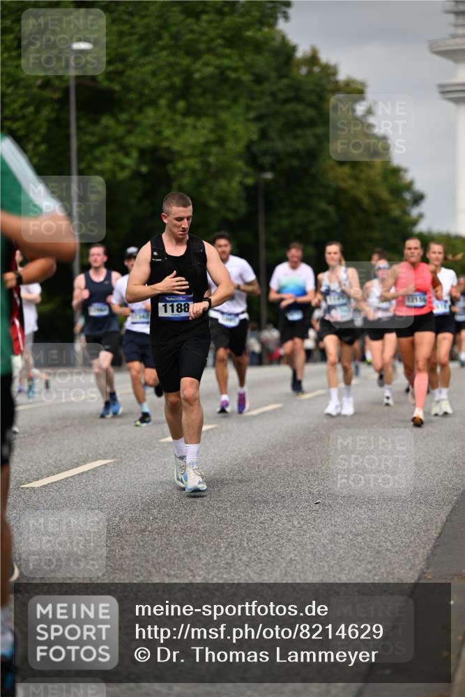 29.06.2025 - hella hamburg halbmarathon Dr. Thomas Lammeyer http://msf.ph/oto/8214629 29.06.2025 10:12:46 Kennedybrücke 1147, 1188, 2427, 2978, 4859, 5100, 5885, 6590, 6674, 6918, 7198, 7348, 7453, 9457, 9616, 9718, 9823, 9951, 9958, 9966, 10092, 10609, 10857 meine-sportfotos.de